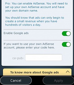 Savo &bdquo;Google Ads&ldquo; galite aktyvuoti savo &bdquo;Pro&ldquo; svetainėje.